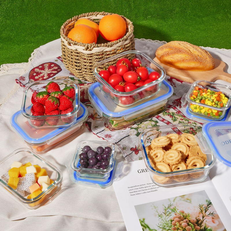 8Pcs Sealed Glass Food Storage - Meal Prep Glass Containers Oven Safe ulasan dan harga