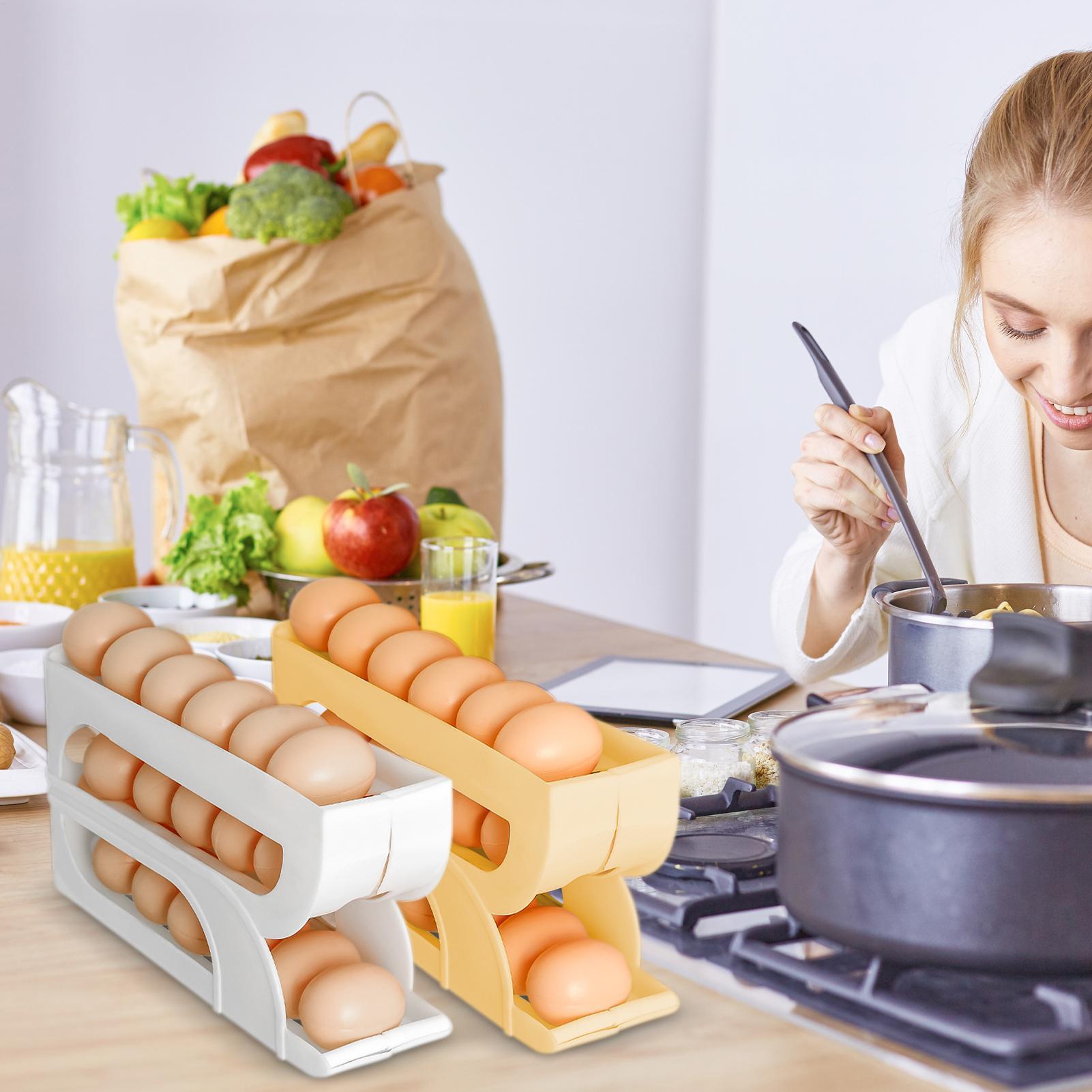 Egg Dispenser for Refrigerator - Meal Prep List ulasan dan harga