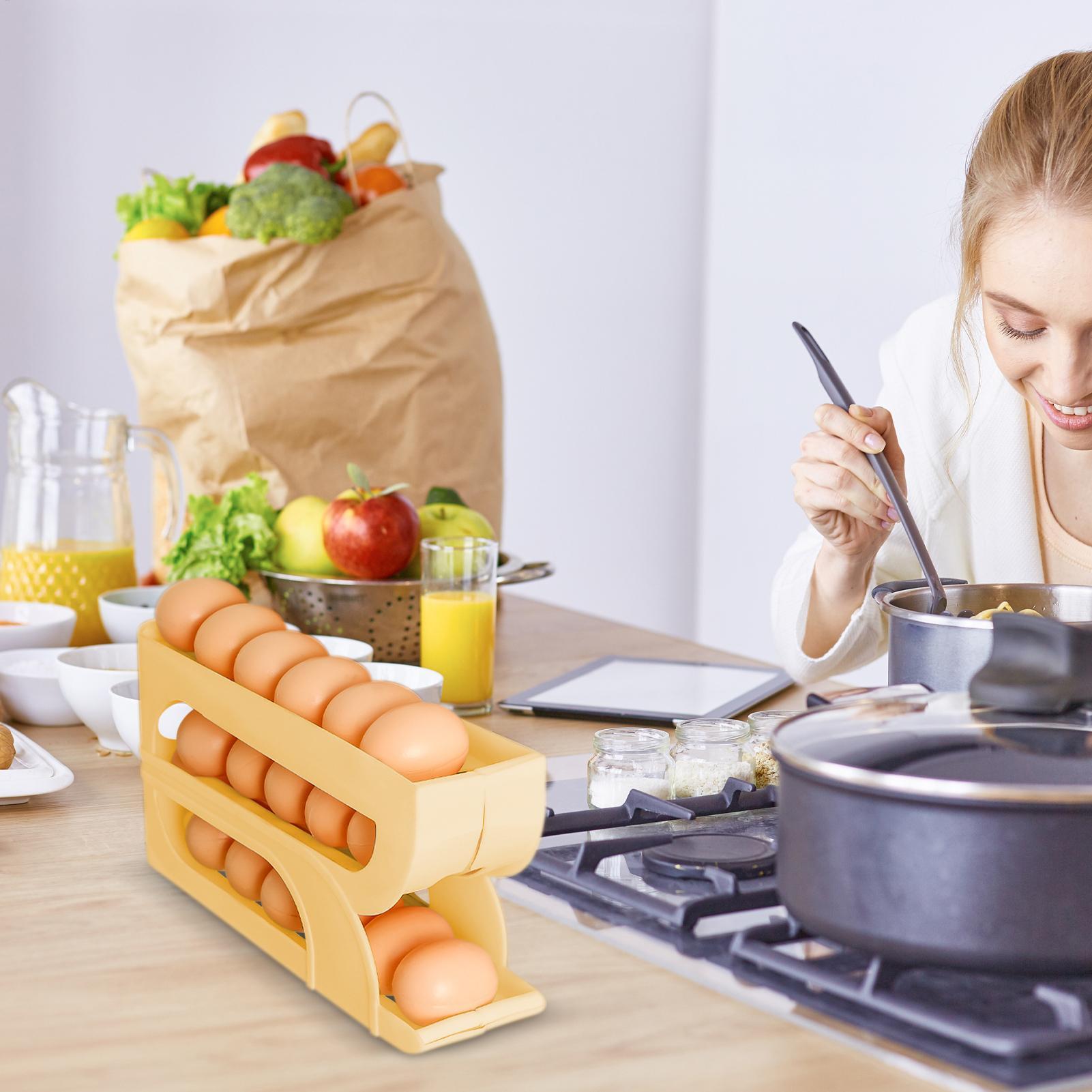 Egg Dispenser for Refrigerator - Meal Prep List ulasan dan harga