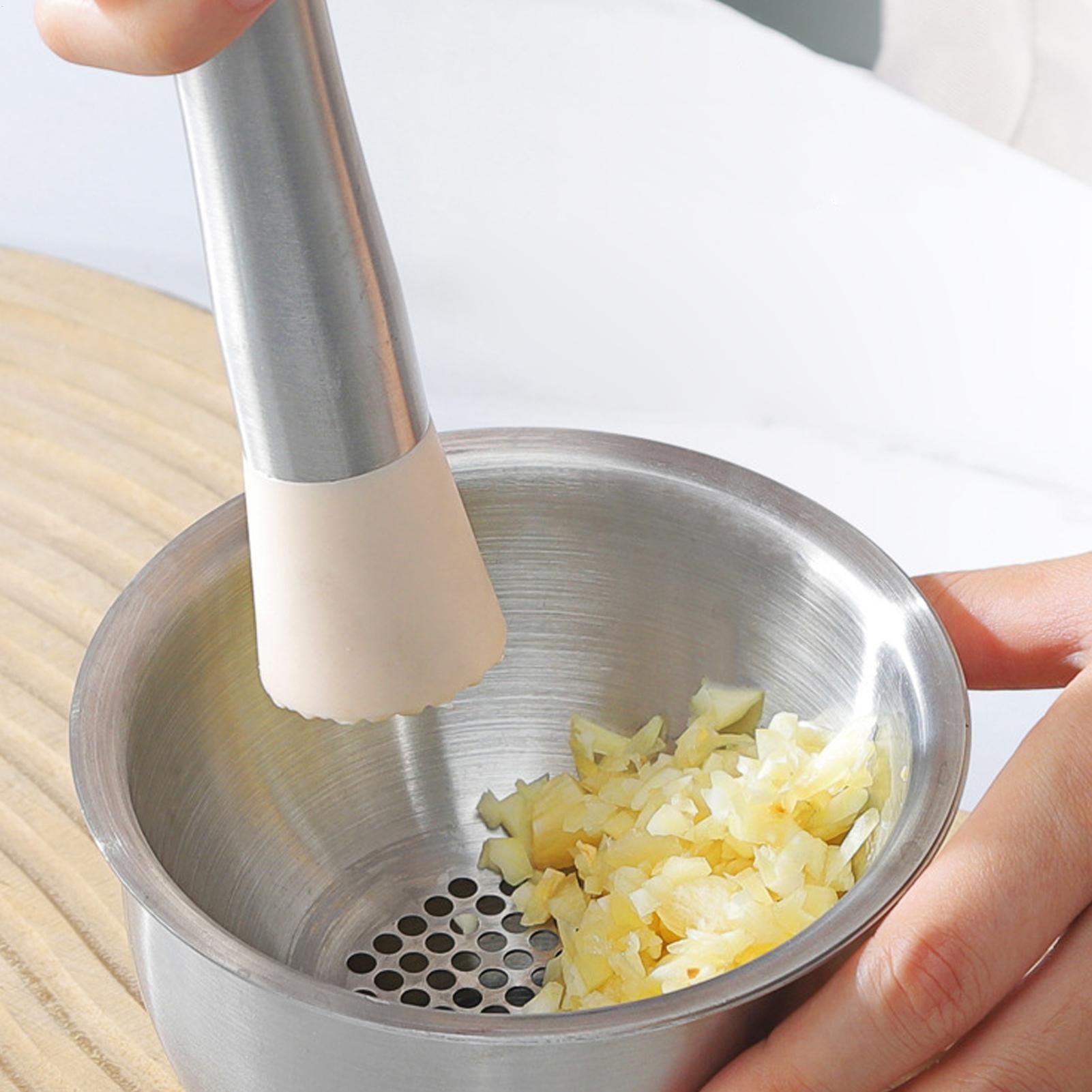 Garlic Mincer Tool Manual Food - Meal Prep Manual ulasan dan harga