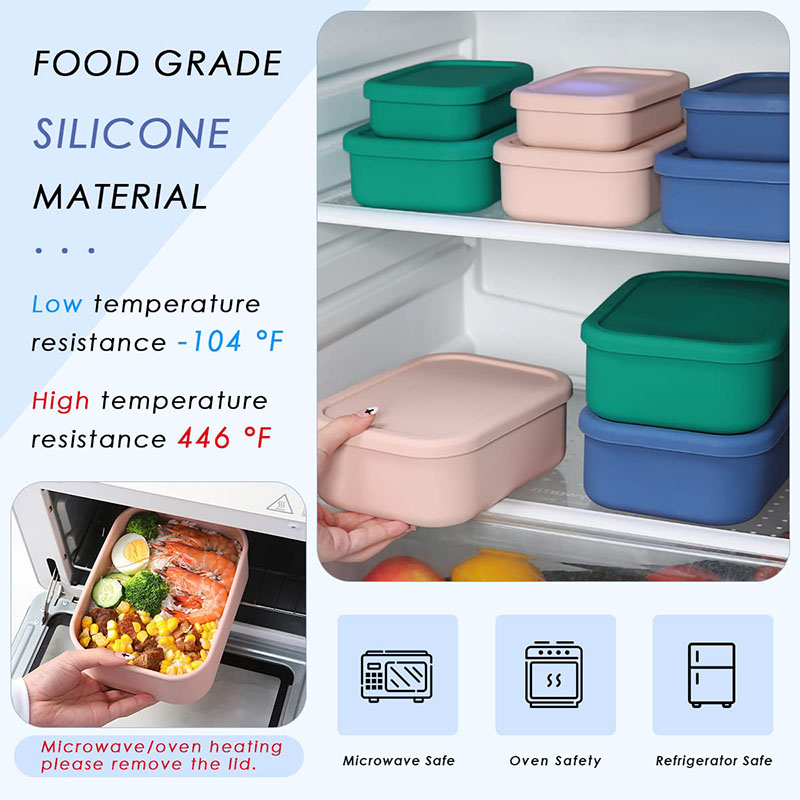 Leak-Resistant Bento Lunch Box - Meal Prep List ulasan dan harga